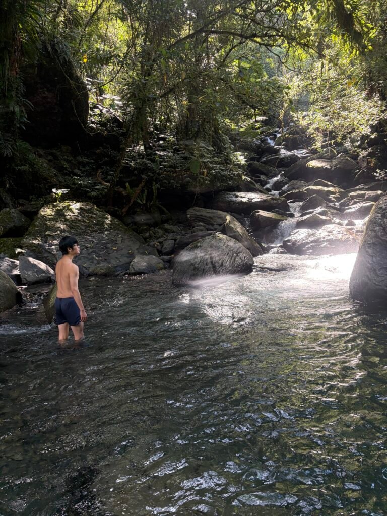 99bdfaf1 de37 421a 9a2c 62556e8b5614